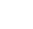 ЛЕОН